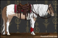 Horse Color:Black Pearl Tobiano Appaloosa 