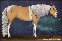 Horse Color:Silver Buckskin Splash Tobiano 