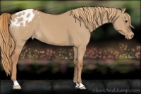 Horse Color:Red Dun Varnish 