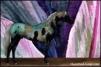 Horse Color:Void White Spotted Chocolate Palomino Splash