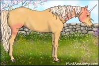 Horse Color:Palomino