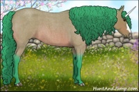 Horse Color:Watercolor Bay Roan 