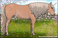 Horse Color:Watercolor Chestnut 