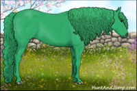 Horse Color:Gray Watercolor Black