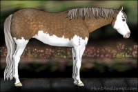 Horse Color:Chocolate Palomino Splash 