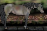 Horse Color:Platinum Brown 