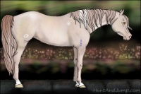 Horse Color:Platinum Gold Champagne 