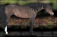 Horse Color:Platinum Brown 
