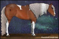 Horse Color:Silver Bay Splash Tobiano 