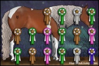 Horse Color:Silver Bay Splash Tobiano 