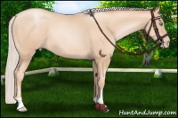 Horse Color:Chocolate Silver Amber Champagne Pearl 