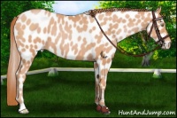 Horse Color:Chocolate Bay Pearl Leopard 