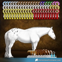 Horse Color:Smoky Black Sabino Appaloosa