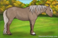 Horse Color:Silver Grullo
