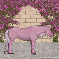 Horse Color:Watercolor Silver Bay Dun Sabino Rabicano 