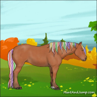 Horse Color:Painted Silver Brown Roan Sabino 
