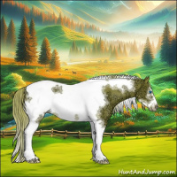 Horse Color:Watercolor Liver Chestnut Ice Sabino Tobiano Frame Rabicano 