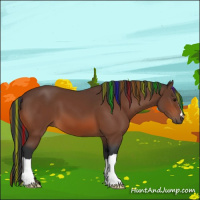 Horse Color:Painted Bay 