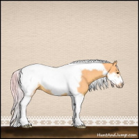 Horse Color:Watercolor Chestnut Tobiano Frame Rabicano 