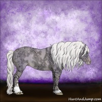 Horse Color:Watercolor Gold Cream Champagne Ice Sabino Rabicano 