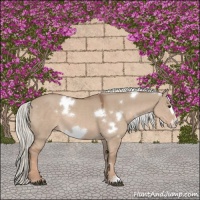 Horse Color:White Spotted Red Dun Mushroom Frame 