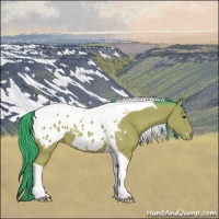 Horse Color:Watercolor Bay Tobiano Appaloosa Rabicano 