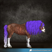 Horse Color:Watercolor Bay Ice Splash
