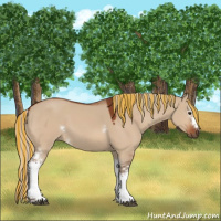 Horse Color:Painted White Spotted Silver Bay Dun 