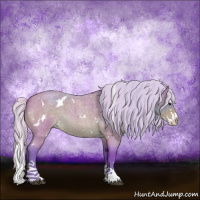 Horse Color:Watercolor White Spotted Silver Bay Roan Splash 