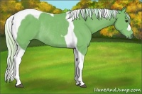 Horse Color:Watercolor Silver Bay Tobiano Rabicano 