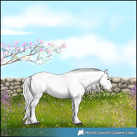 Horse Color:Watercolor White Spotted Silver Brown Dun Appaloosa 
