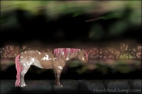 Horse Color:Painted White Spotted Silver Brown Dun