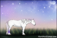 Horse Color:Gray Watercolor White Spotted Silver Brown Dun Tobiano 