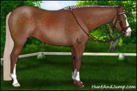 Horse Color:Chocolate Silver Buckskin Sabino 