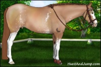 Horse Color:White Spotted Chocolate Brown Pearl 