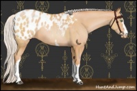 Horse Color:White Spotted Chocolate Silver Bay Pearl Blanket Rabicano 