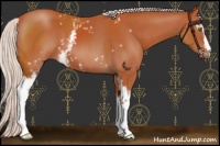 Horse Color:White Spotted Chocolate Silver Brown