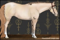 Horse Color:Gold Champagne Pearl 