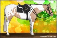 Horse Color:Sable Champagne Tobiano Appaloosa 