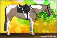 Horse Color:Classic Champagne Tobiano