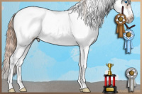 Horse Color:Chestnut Sabino Splash Tobiano Frame Rabicano 