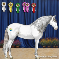 Horse Color:White Spotted Chocolate Palomino Dun Splash Tobiano Rabicano