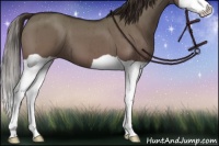 Horse Color:Liver Red Dun Splash Brindle 