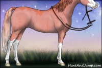 Horse Color:Watercolor Liver Red Dun Splash Brindle 