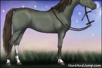 Horse Color:Liver Red Dun Brindle 