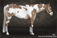 Horse Color:White Spotted Liver Red Dun Frame 
