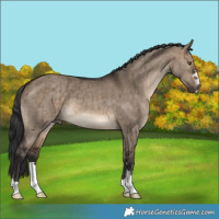 Horse Color:Brown Dun Brindle 