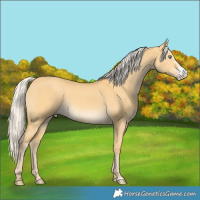 Horse Color:Silver Amber Cream Champagne Dun Sabino 