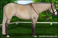 Horse Color:Silver Brown Dun