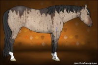 Horse Color:Brown Roan Dun Brindle 